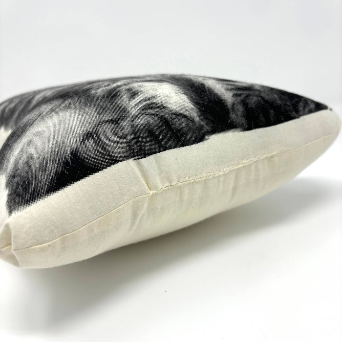 Longhair Cat Pillow