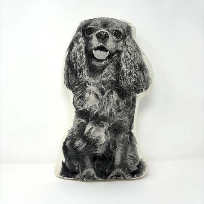 Cavalier King Charles Spaniel Pillow