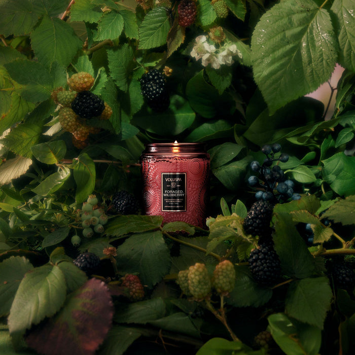 Japonica Large Jar Candle, Foraged Wildberry