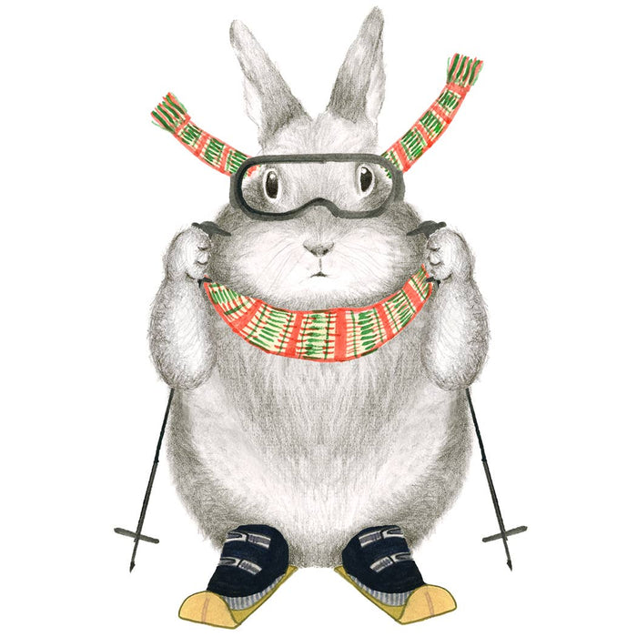 Ski Bunny, Box of 6