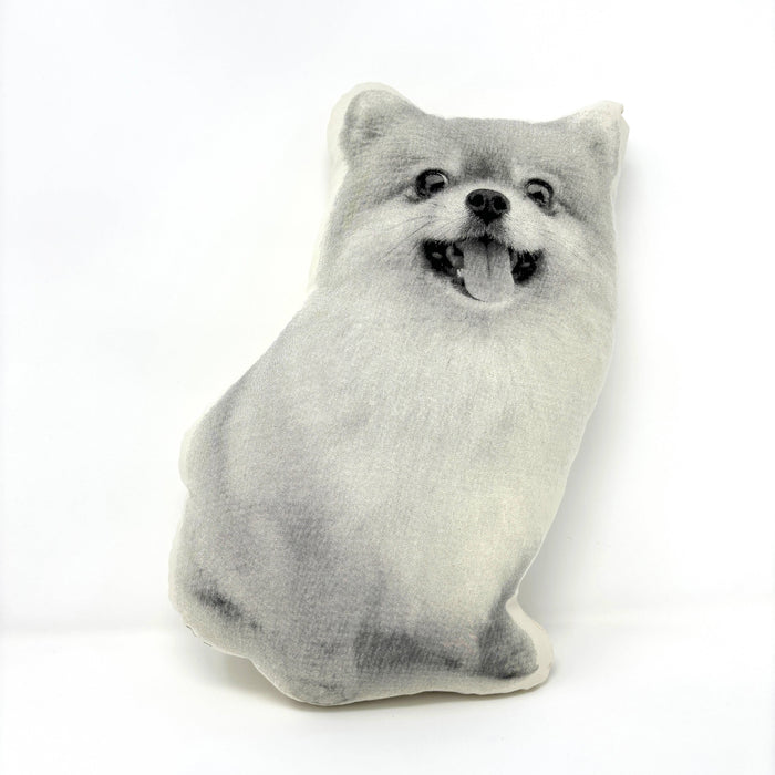 Pomeranian Pillow